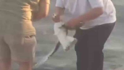 Kocaeli’de balık tutmak isteyen vatandaşın oltasına balık yerine martı takıldı.