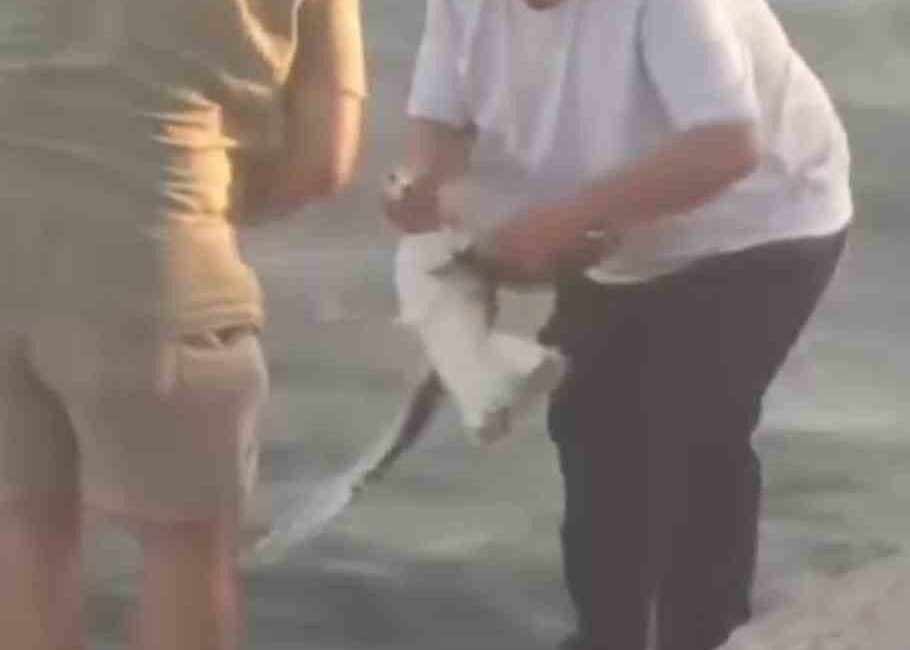 Oltaya balık yerine martı takıldı Kocaeli’de balık tutmak isteyen vatandaşın oltasına balık yerine martı takıldı.