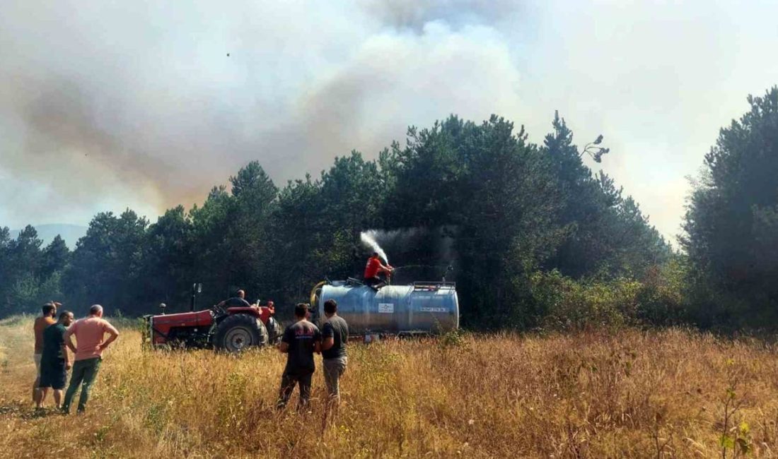 Ormanlık alanda yangın: Çok sayıda ekip sevk edildi Sakarya’nın Akyazı ilçesinde ormanlık alanda çıkan yangın için bölgeye çok