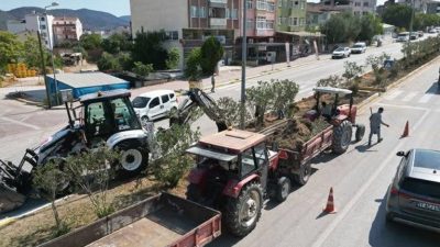 Osmaneli Belediyesi, şehir merkezindeki önemli arterlerden olan Ankara ve İstanbul