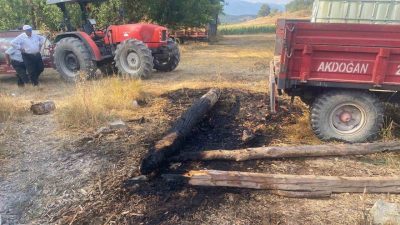 Bolu’nun kuru otların bulunduğu arazide çıkan yangın, ekiplerin hızlı müdahalesiyle