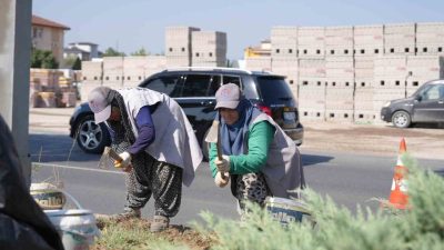 Düzce Belediyesi Park ve Bahçeler Müdürlüğü ekipleri şehrin ana arterlerinde