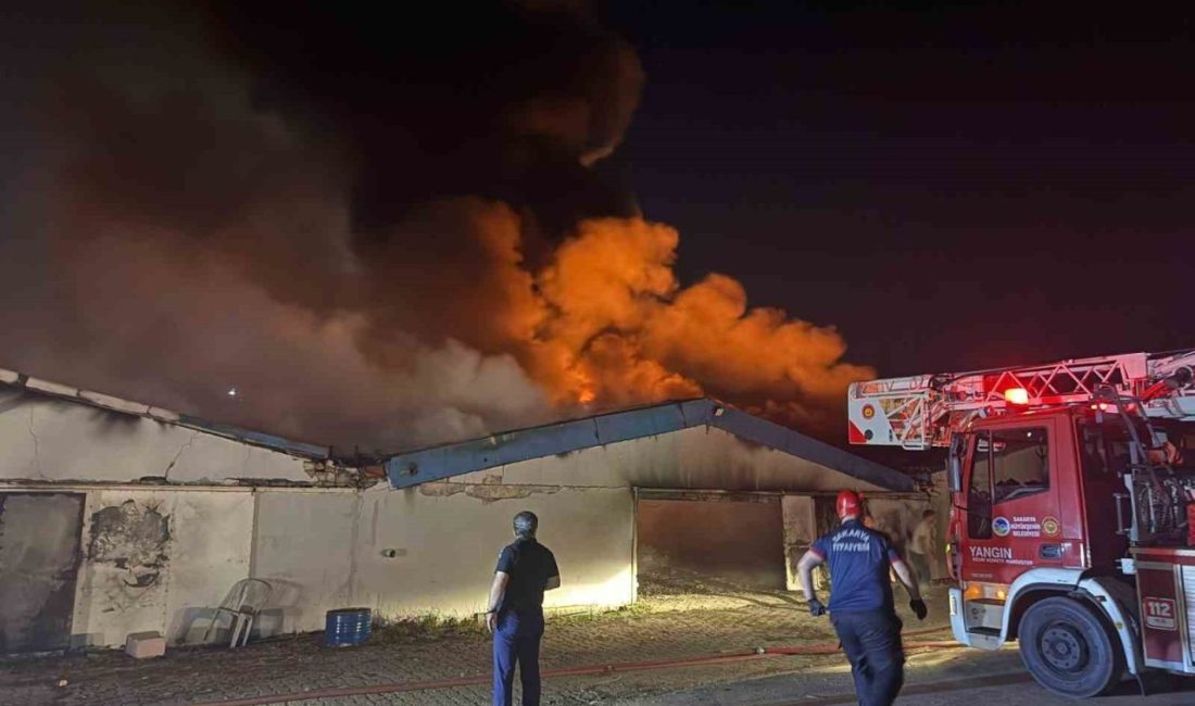 Sakarya’da boya fabrikasında yangın Sakarya’nın Geyve ilçesindeki bir boya fabrikasında yangın çıktı. Edinilen bilgiye