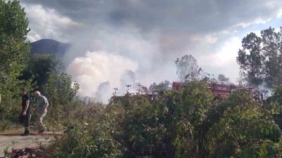 Kocaeli’nin Kartepe ilçesinde sazlık alanda çıkan yangın, ekiplerin yaklaşık 1