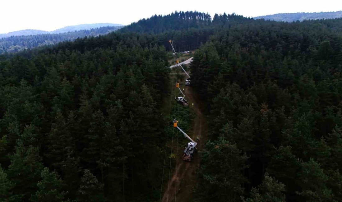 Son günlerde artan orman yangınlarına karşı tedbirlerini güçlendiren Sakarya Elektrik
