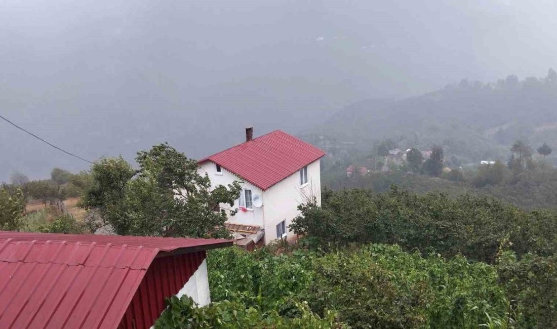 Sakarya’nın Hendek ilçesinde bulunan bin 725 metre rakımlı Dikmen Yaylası’nda
