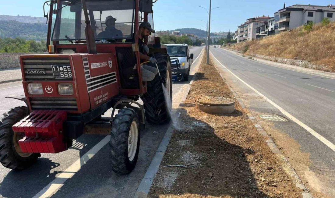 Söğüt Belediyesi, ilçe genelinde yürüttüğü temizlik ve peyzaj çalışmalarıyla çevre