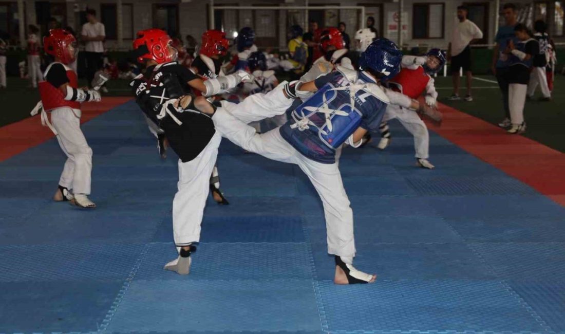 Taekwondo şenliğinde minikler hünerlerini sergiledi Körfez’de düzenlenen Minikler Taekwondo Şenliği’ne Türkiye’nin farklı illerinden yaklaşık 300
