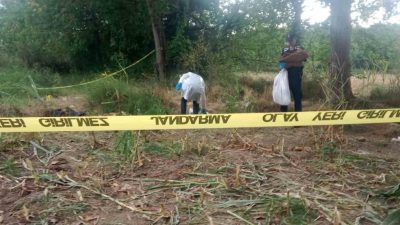 Düzce(İHA) – Düzce’de çalışmak için mısır tarlasına gelen çiftçi, insan