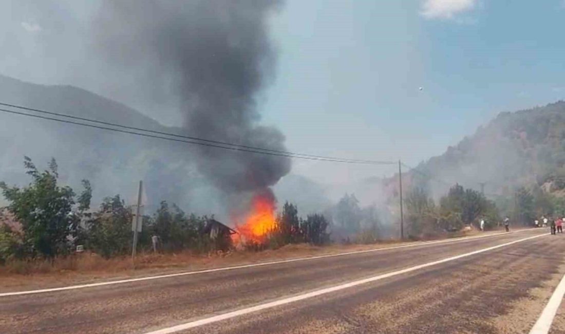 Kastamonu’nun Şenpazar ilçesinde bir tarlada çıkan yangının sıçradığı samanlık kullanılmaz