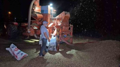 Düzce’nin ve bölgenin en önemli geçim kaynaklarından olan fındık hasadı