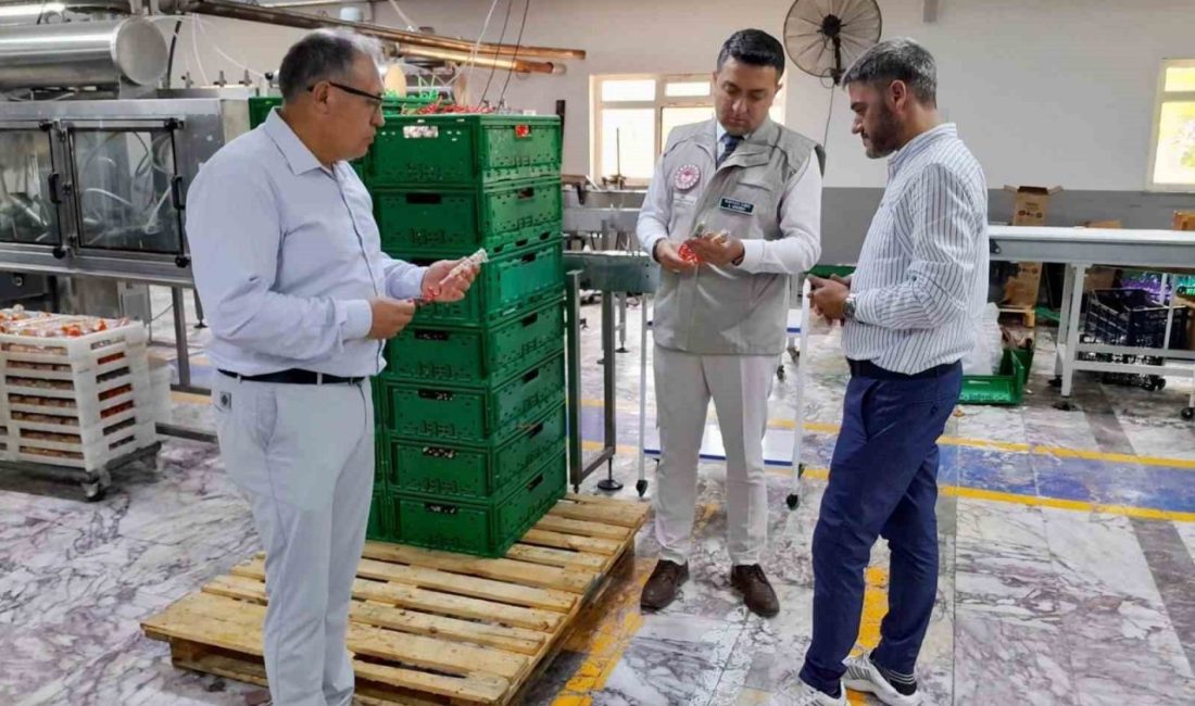 Tarım ve Orman Bakanlığınca gıda güvenliğinin ve tüketici menfaatinin en