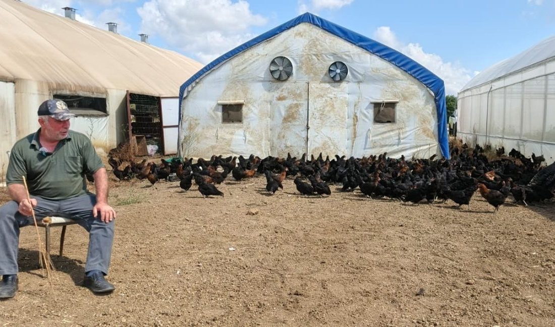 Kocaeli’de kırsal kalkınmayı desteklemek amacıyla hayata geçirilen “Doğal Salma Yumurta