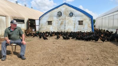 Kocaeli’de kırsal kalkınmayı desteklemek amacıyla hayata geçirilen “Doğal Salma Yumurta