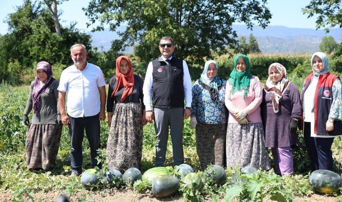 Vali Aslan, uygulama tarlasında incelemelerde bulundu Düzce Valisi Selçuk Aslan, Sarayyeri Mahallesi’nde, Yüksek Ziraat Mühendisi Ali