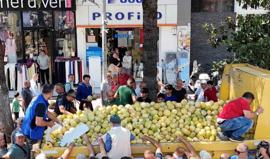 Vatandaşlara 5 ton yerli kavun ücretsiz dağıtıldı Düzce Belediyesi’nin desteğiyle yerli tohumdan üretilen 5 ton “Minika” kavunu,
