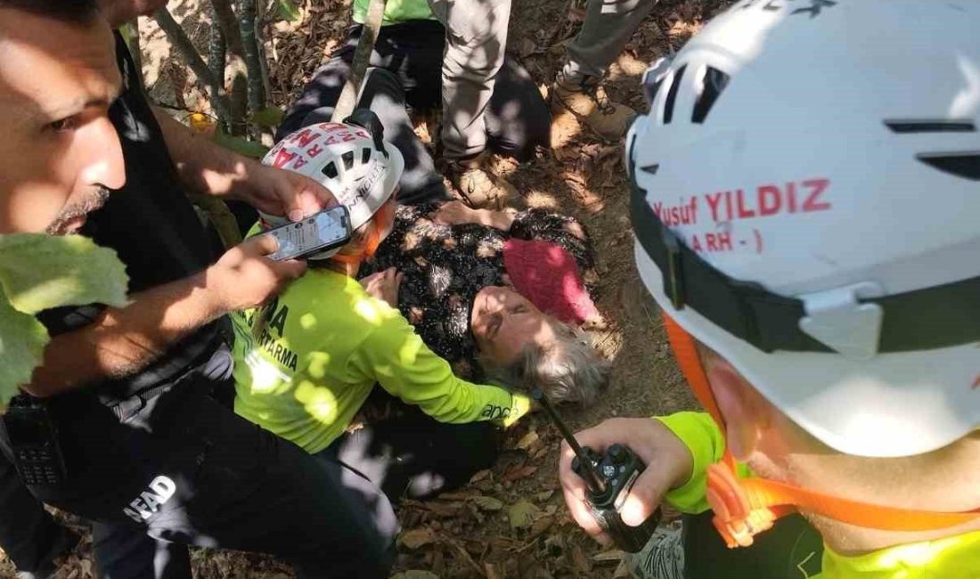 Yaşlı kadın 3 gün sonra canlı bulundu Düzce’de 3 gün önce kaybolan Alzheimer hastası kadın evinden 3
