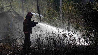 Sakarya’nın Arifiye ilçesinde yerleşim alanına yakın ormanlık alanda çıkan yangın,