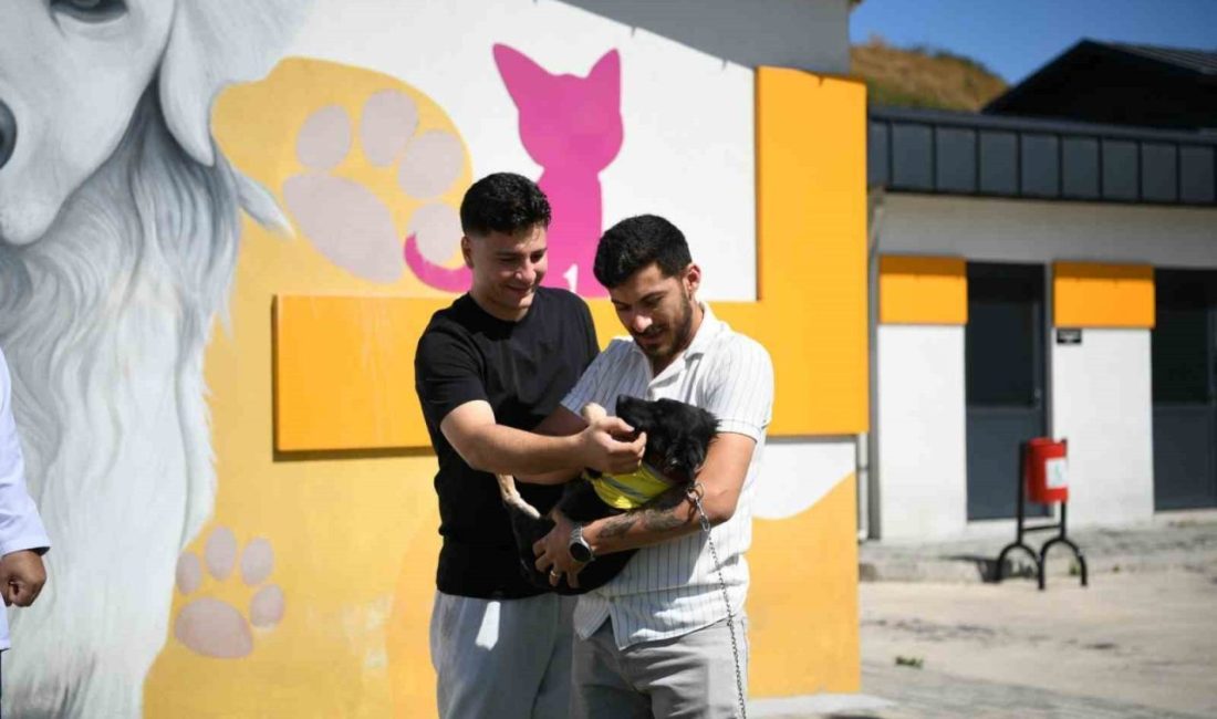 Kocaeli’nin Çayırova ilçesinde vücudu tamamen zifte bulanmış halde bulunduktan sonra