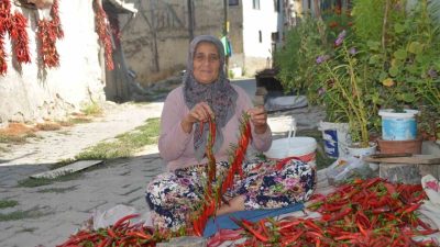 Bilecik’in Çukurören köyüne özgü acı biberin üretimi yaklaşık 160 yıldır