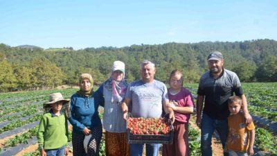 Bilecik’te 25 yıl domates, salatalık ve barbunya üretimi yapan karı