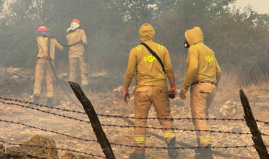 3 evin yandığı köyde müdahale devam ediyor Kastamonu’nun Araç ilçesinde ormanlık alanda çıkan yangının sıçradığı köyde 1’i