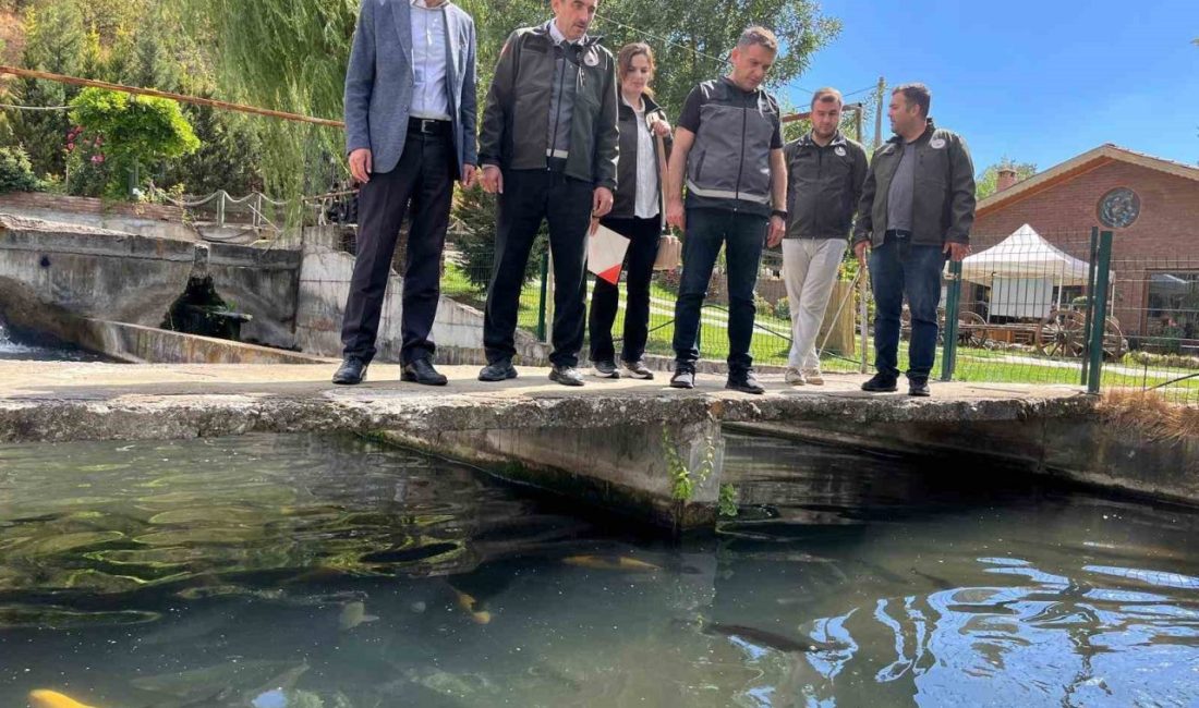 Bilecik’te faaliyet gösteren alabalık yetiştiricilik ve işleme tesisleri incelendi. Bilecik