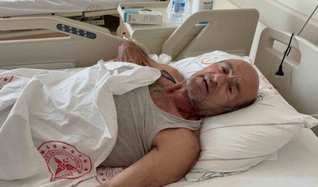 Sakarya’nın Hendek ilçesinde akrabasının yanına gittiği esnada ayı saldıran vatandaş