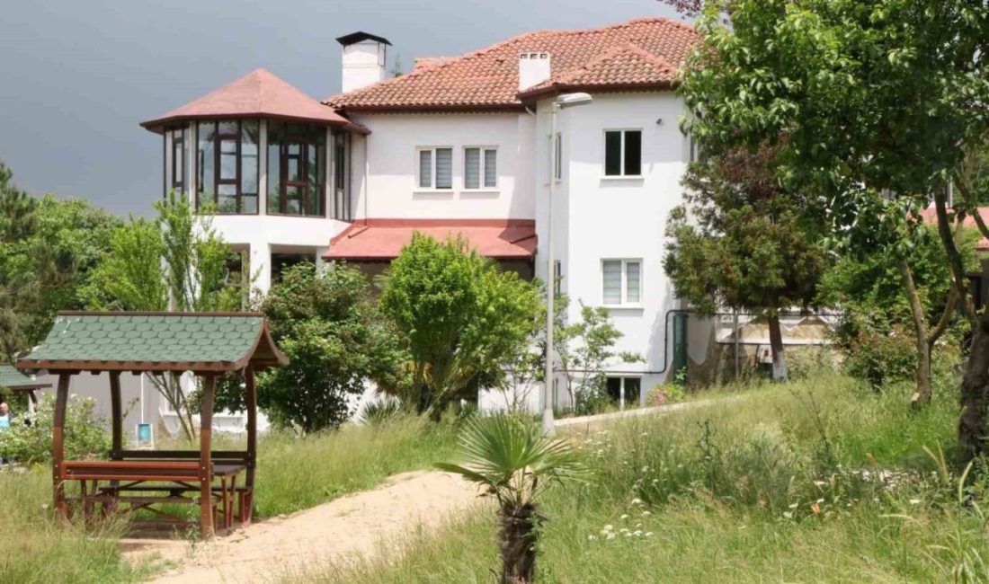 Bağımlılıkla mücadelede yeni bir başlangıç kapısı Kocaeli’de açılan merkezlerde bağımlı bireyler ve aileleri, üç ay süren