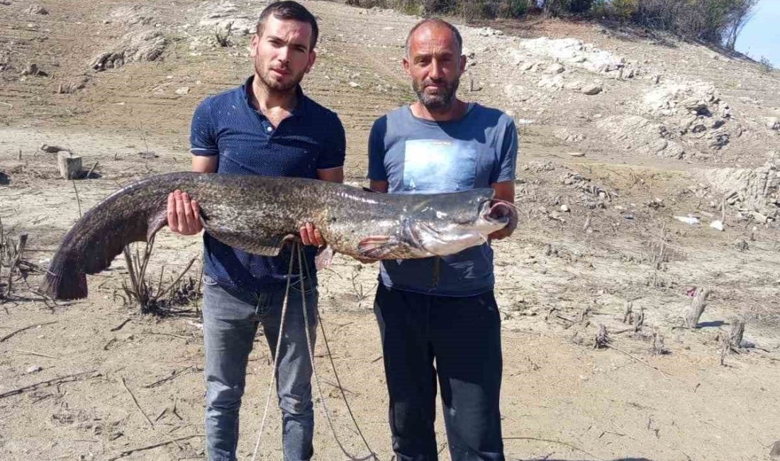 Kastamonu’nun Taşköprü ilçesindeki baraj gölünde avlanan balıkçılar 25 kilogram ağırlığında