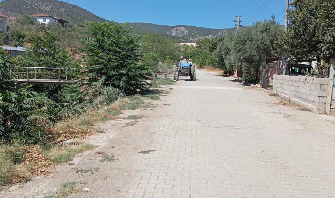 Bilecik merkeze bağlı Bayırköy Beldesi’nde yabani otlar temizlendi. Doğandere mevkiinde