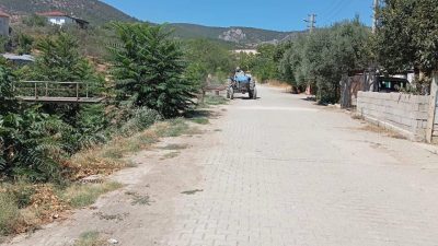 Bilecik merkeze bağlı Bayırköy Beldesi’nde yabani otlar temizlendi. Doğandere mevkiinde