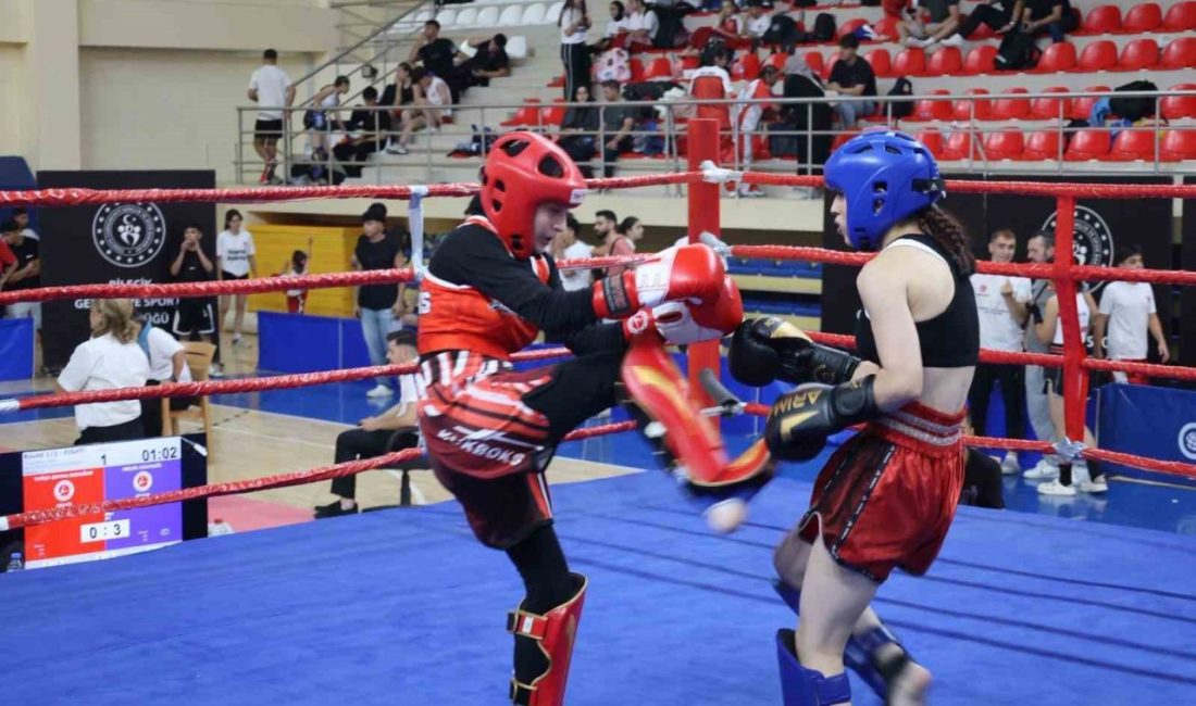 Bilecik’te Kick Boks şampiyonası başladı Bilecik’te düzenlenen 1. İller Arası Alt Minikler, Minikler, Yıldızlar, Gençler