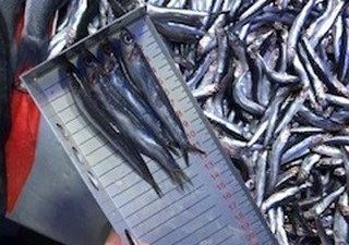 Bilecik İl Tarım ve Orman Müdürlüğü Hayvan Sağlığı, Yetiştiriciliği ve