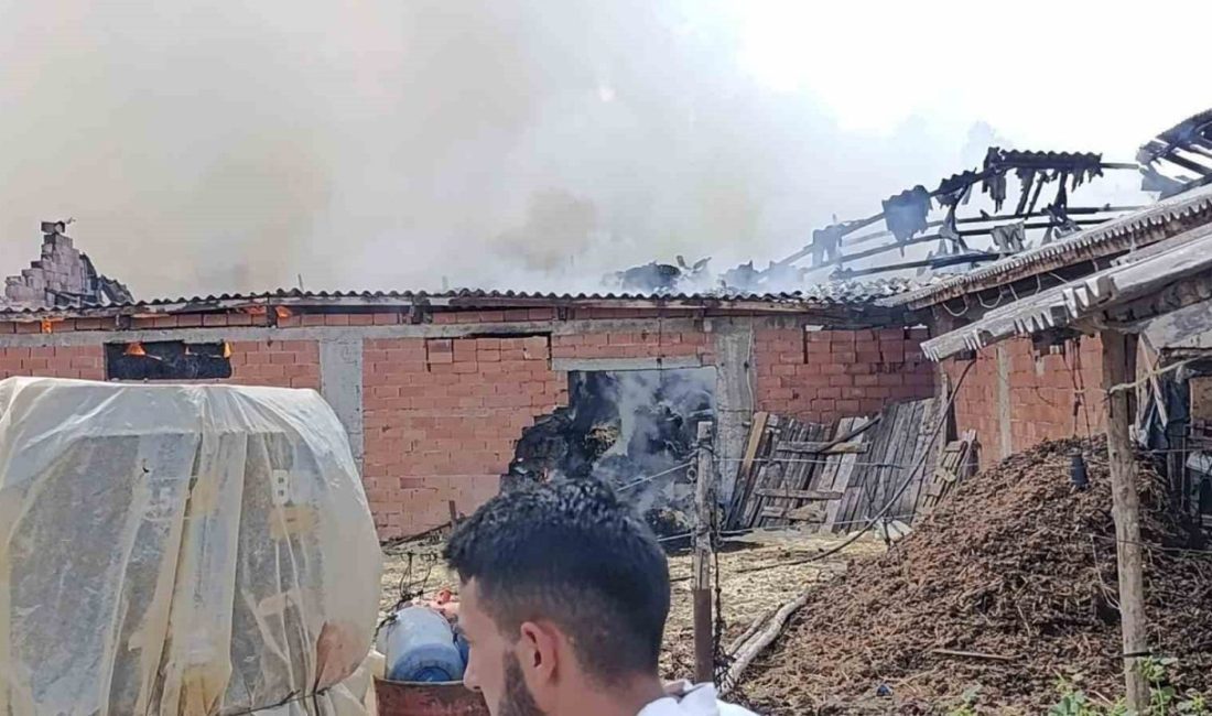 Bilecik’in Pazaryeri ilçesinde samanlık olarak kullanılan bir ahırda yangın çıktı.