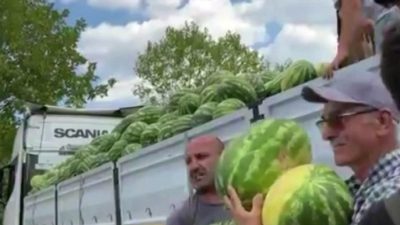 Sakarya’nın Hendek ilçesinde tarım şirketi tarafından, vatandaşlara bir tır dolusu