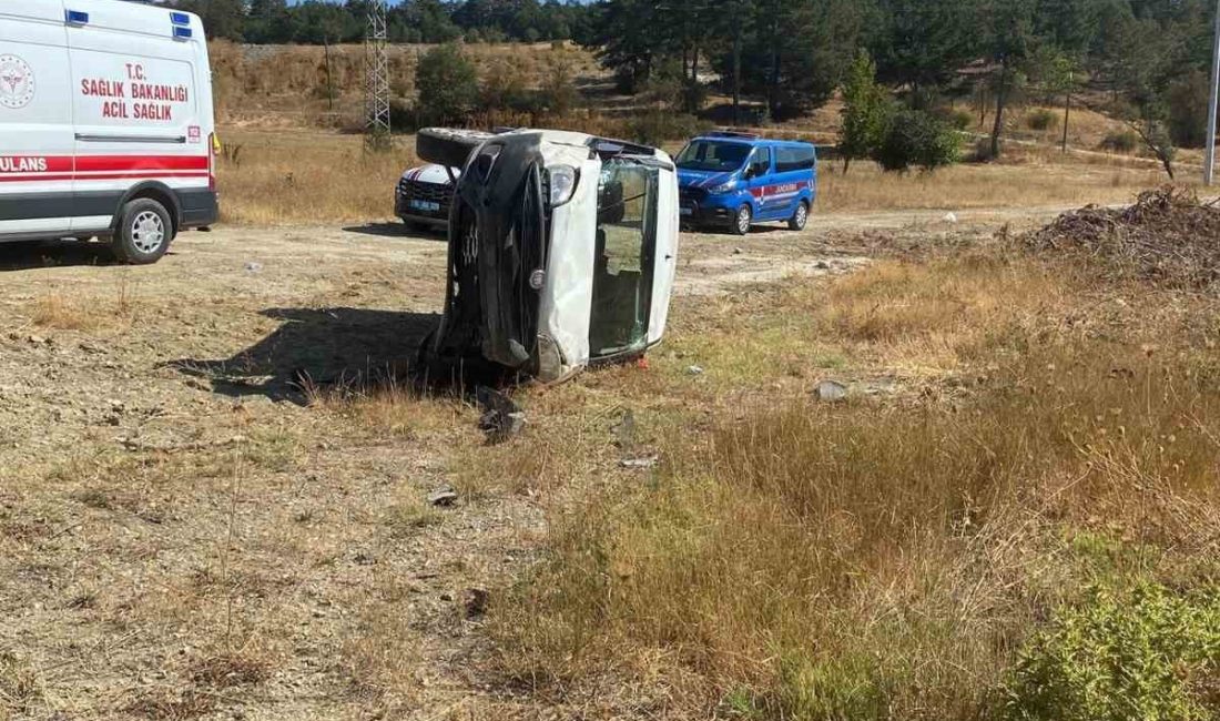 Bolu-Mudurnu kara yolunda virajı alamayan hafif ticari araç, yoldan çıkarak