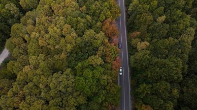 Bolu-Seben kara yolunda sonbaharın gelmesiyle ağaçlar sarı ve turuncu renklere