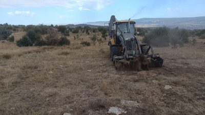 Bolu’nun Gerede ilçesine bağlı Beşkonak köyünde, ’Mera Islahı Uygulama Projesi’