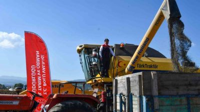 Bolu’da yağlık ayçiçeği hasadı başladı. Bolulu çiftçilerin bu yıl 23