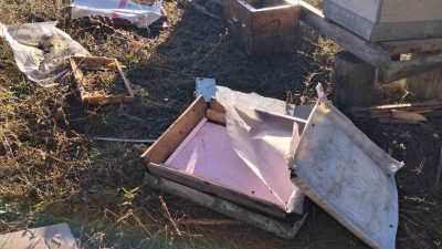 Bolu’da arı kovanlarının bulunduğu bahçeye giren ayı, kovanları parçalayarak çok