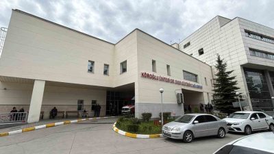 Bolu’nun Mengen ilçesinde arıcılık yapan bir vatandaş, gece saatlerinde ayı