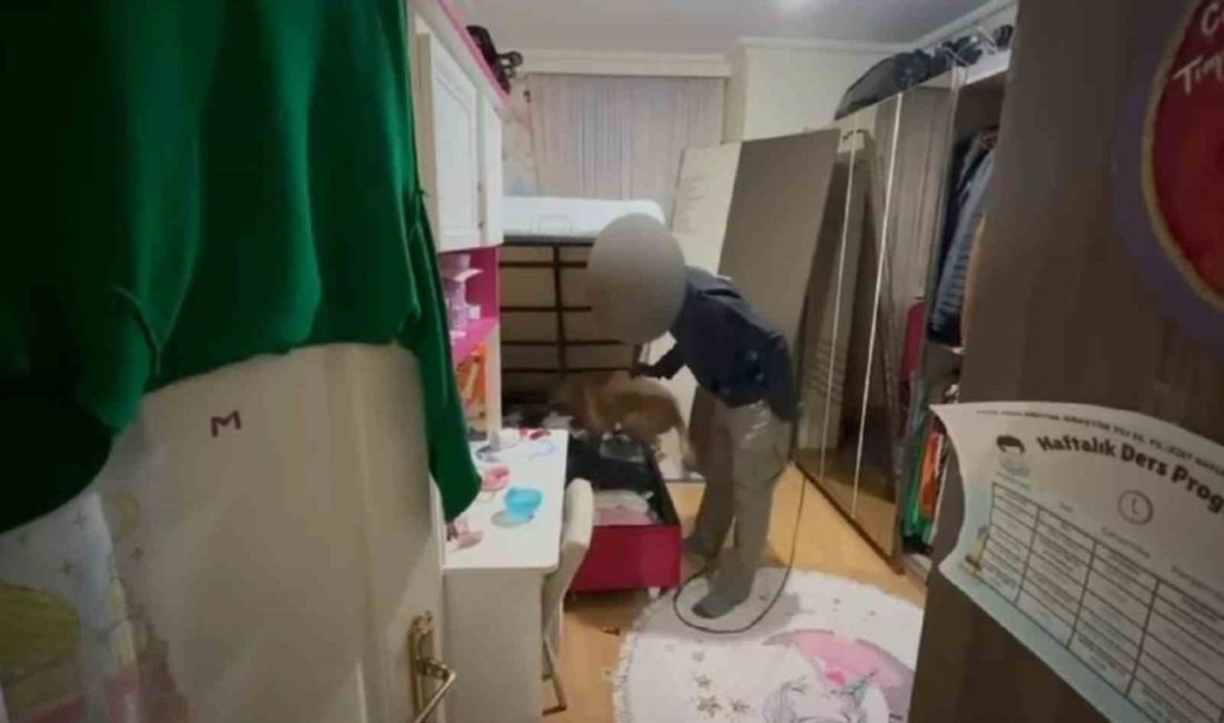 Bolu İl Jandarma Komutanlığı ekipleri, düzenledikleri operasyonda çok sayıda kaçak