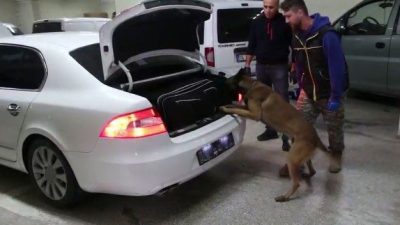 Bolu’da son 1 haftada gerçekleştirilen 6 kaçakçılık operasyonunda yakalanan 6