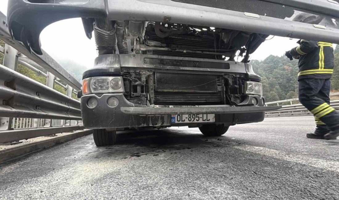 Bolu’da mobilya yüklü kamyon alev aldı: Erken müdahale faciayı önledi TEM Otoyolu’nun Bolu Dağı Tüneli mevkiinde mobilya yüklü kamyonun motor