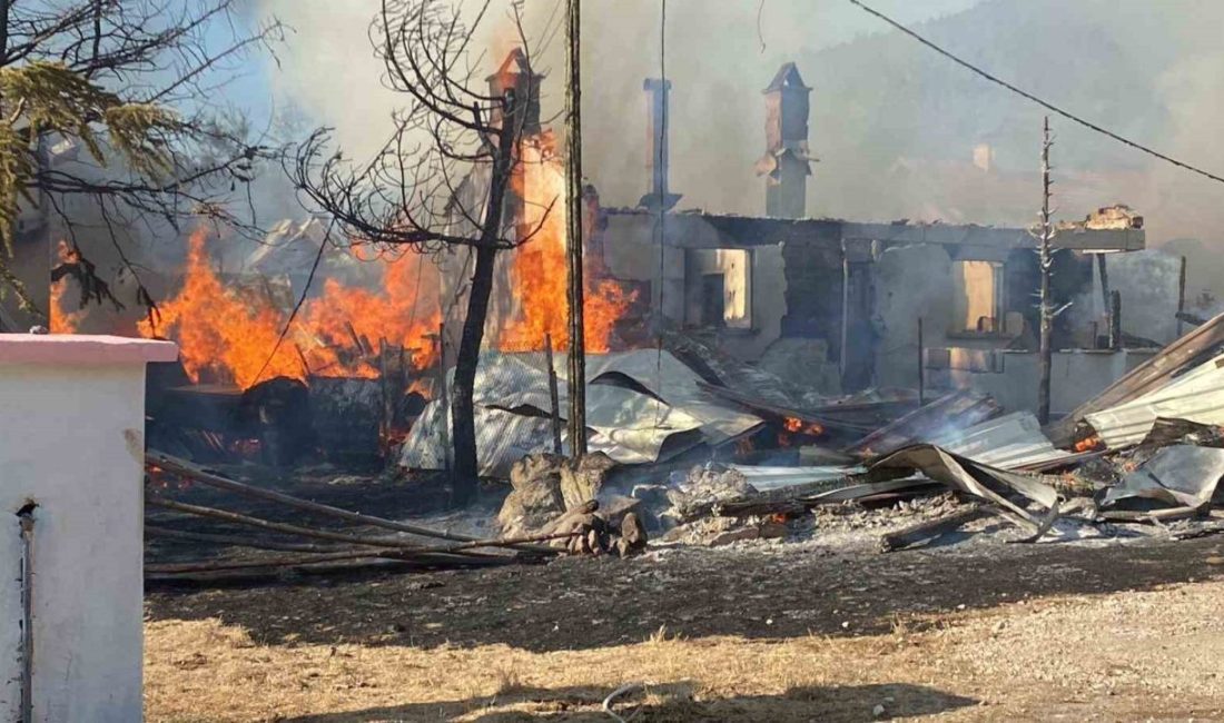 Bolu’nun Aladağlar mevkiinde bulunan Aşağı Soku Yaylası’nda çıkan yangında 4