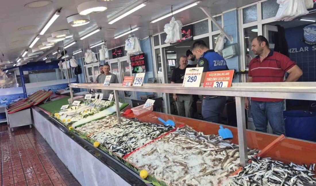 Bolu Belediyesi Zabıta Müdürlüğü ekipleri, balık sezonunun açılmasıyla birlikte pazaryerinde