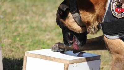 Bolu’da 22-28 Eylül tarihlerinde uyuşturucu satıcılarına yönelik düzenlenen 10 ayrı