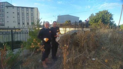 Kastamonu’nun Daday ilçesinde çaya düşen engelli kedi, itfaiye ekiplerinin çalışmasıyla