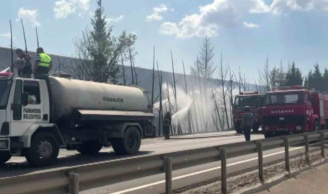 D-650’de korkutan yangın: Ağaçlar alev topuna döndü, trafik durduruldu Sakarya’nın Pamukova ilçesi D-650 kara yolunun yanındaki ağaçlar alev topuna